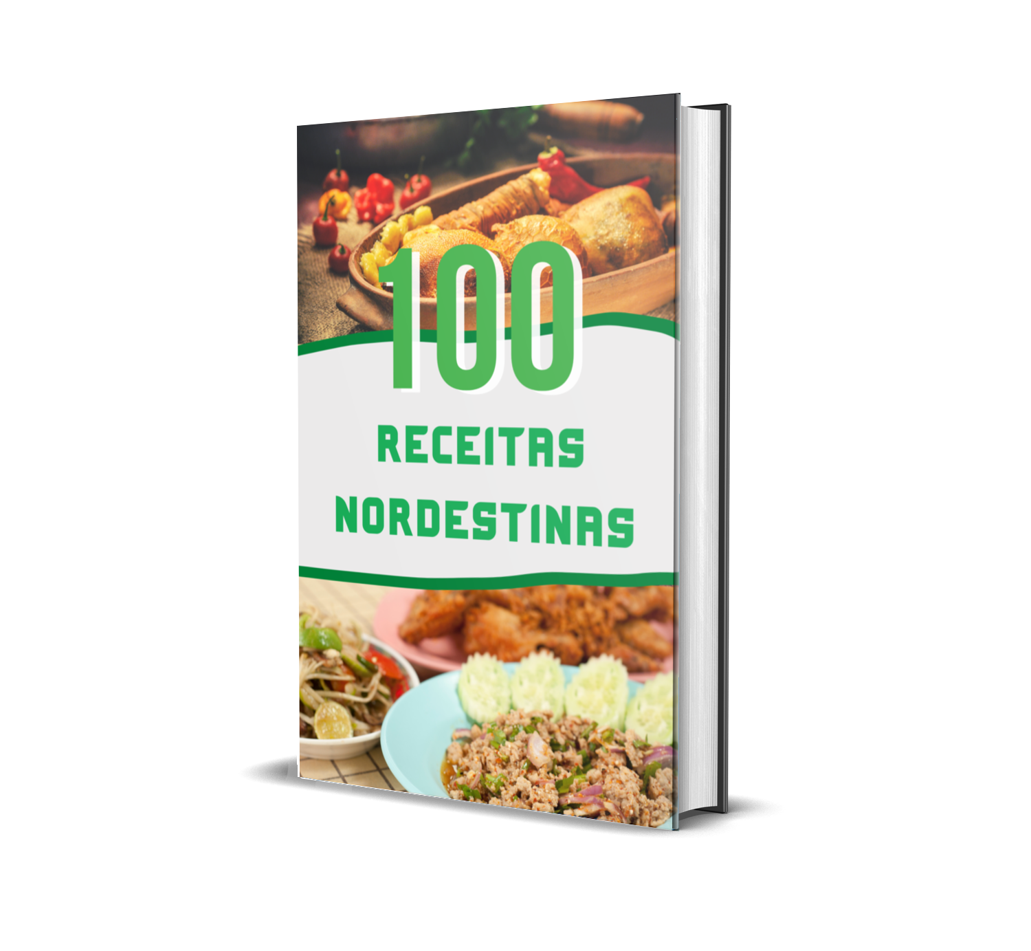 100 Receitas Nordestinas - PLR